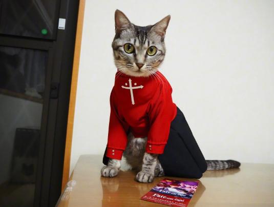 日本网友给自家猫穿上COS服，这些角色你认得全么？