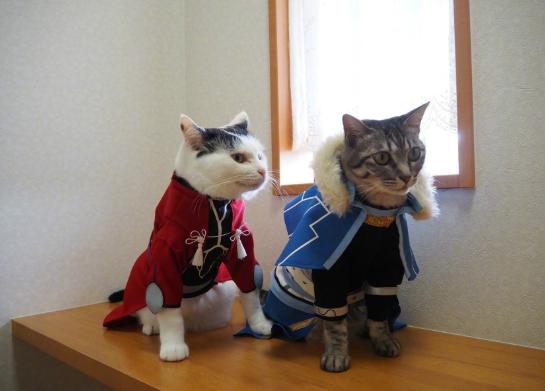 日本网友给自家猫穿上COS服，这些角色你认得全么？