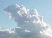 中日美网友晒拍到的哥斯拉形状的云，上海那张太搞笑了