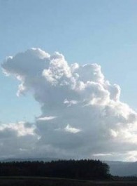 中日美网友晒拍到的哥斯拉形状的云，上海那张太搞笑了